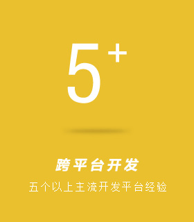 描述
