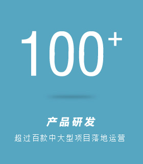 描述